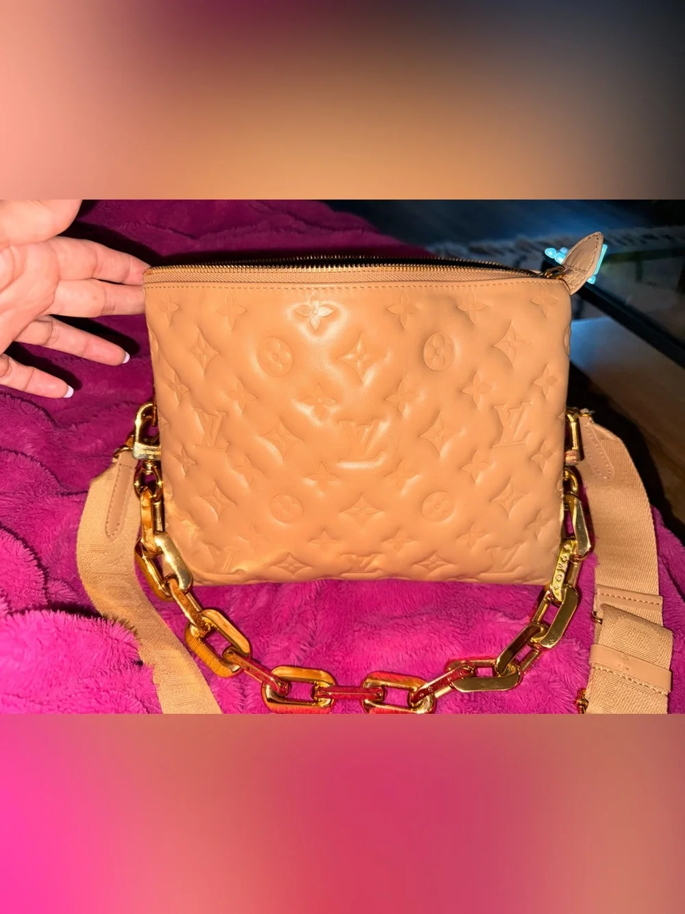 Louis Vuitton Coussin PM